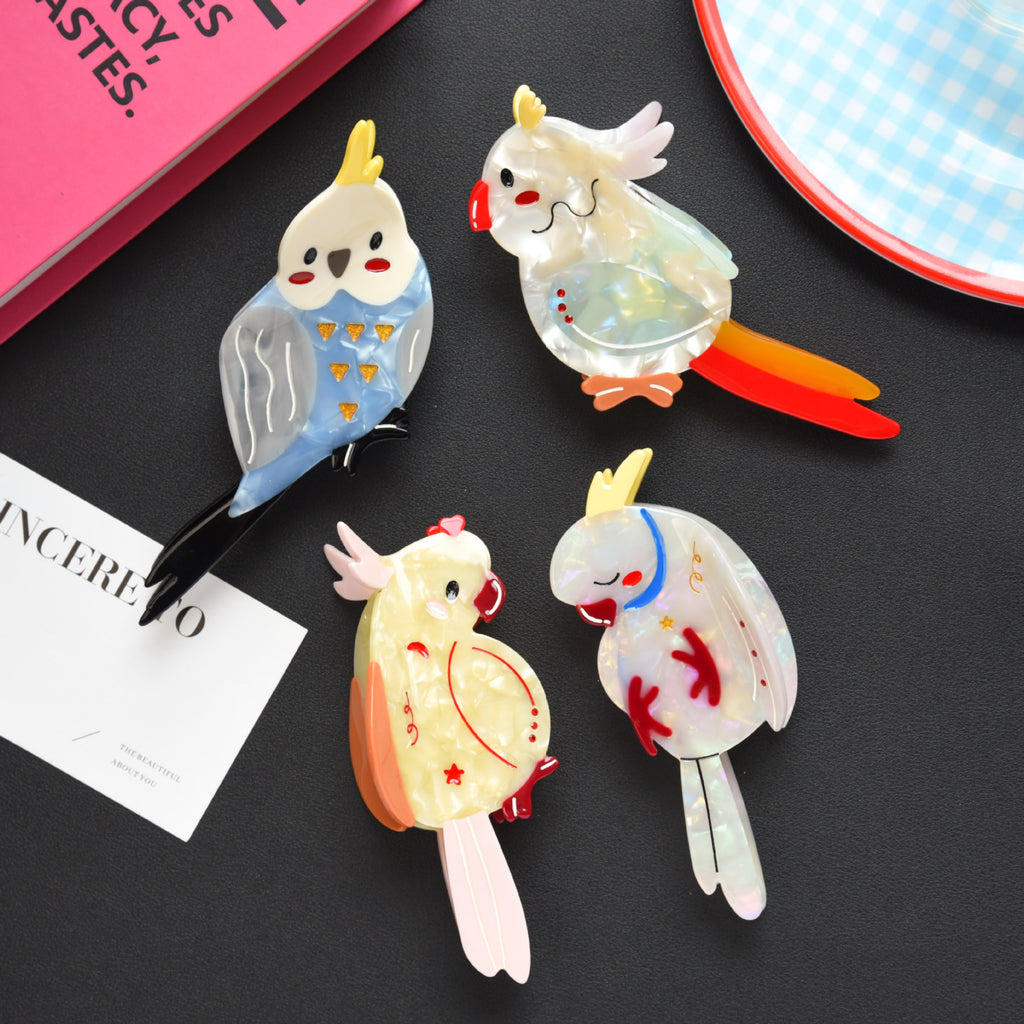 Animal Bird Parrot Hair Claw