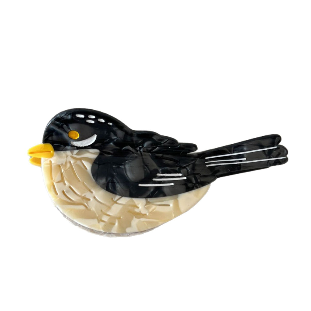 Animals birds magpies hair claw