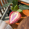 strawberry heart  hair claw
