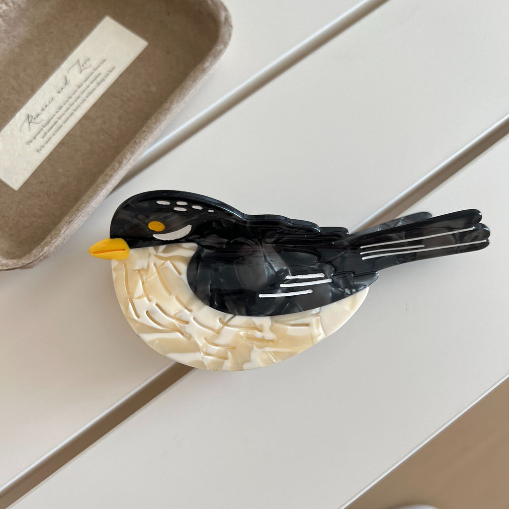 Animals birds magpies hair claw