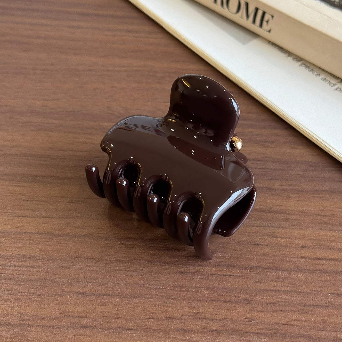 Small chocolate for autumn and winter hair claw