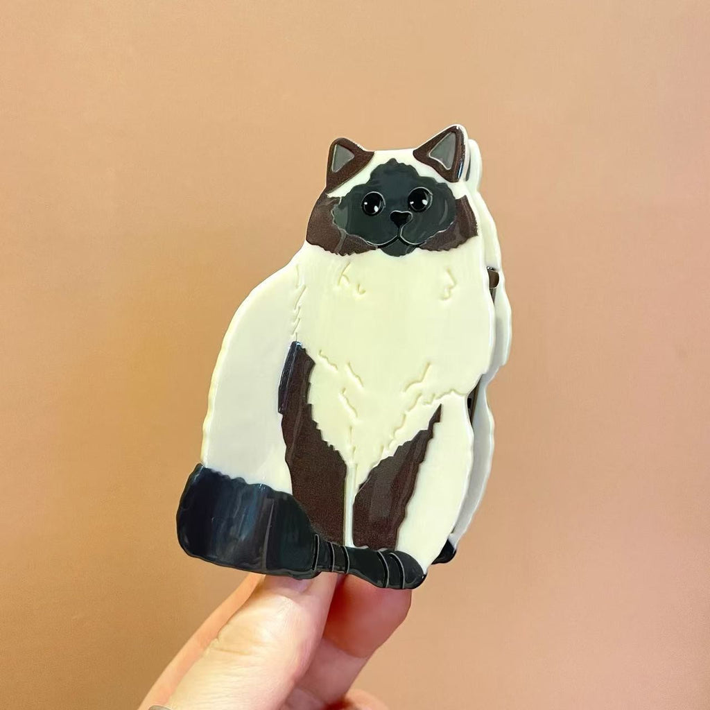 animal cat hair claw