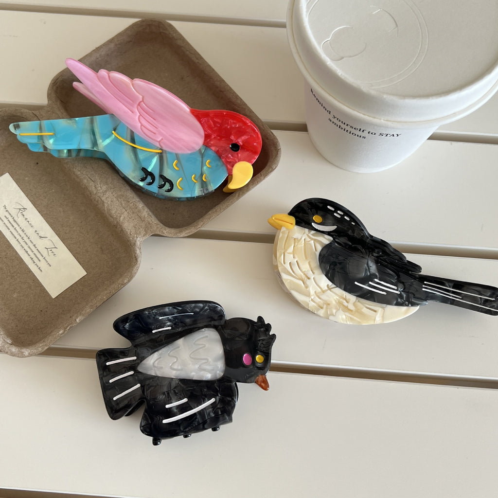 Animals birds magpies hair claw
